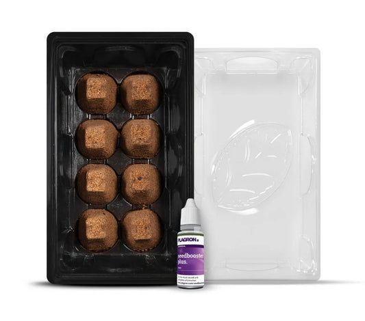 Plagron Starter Set Alga