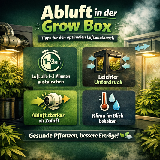 Die richtige Abluft in der Grow Box – Unterdruck, Luftaustausch &amp; Tipps