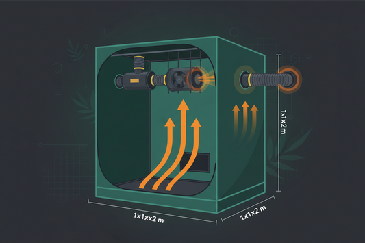 Abluft Growbox berechnen: Richtige Lüfterleistung finden