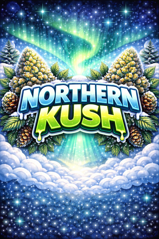 Northern Kush Femi. — 3