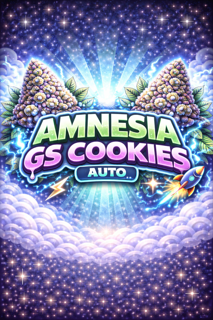 Amnesia GS Cookies Autoflower — 3