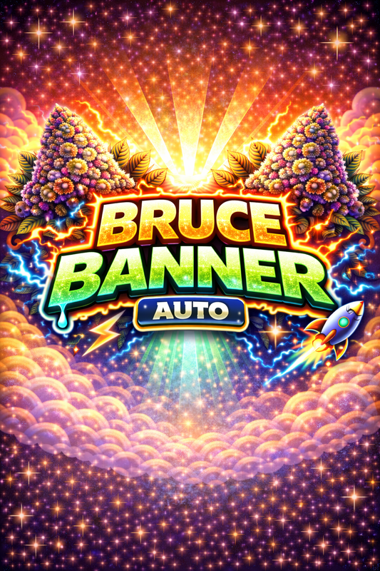 Bruce Banner Autoflower — 3